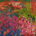 Garden with Gladioli