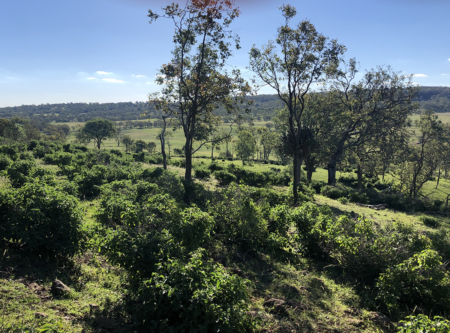 En plein air painting weekend | Toowoomba Region 17-18 August 2024 - Image 9