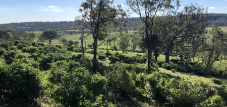 En plein air painting weekend | Toowoomba Region 17-18 August 2024 - Image 8