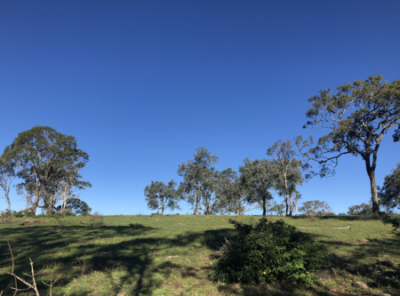 En plein air painting weekend | Toowoomba Region 17-18 August 2024 - Image 10