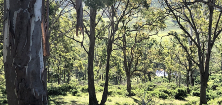 En plein air painting weekend | Toowoomba Region 17-18 August 2024 - Image 7