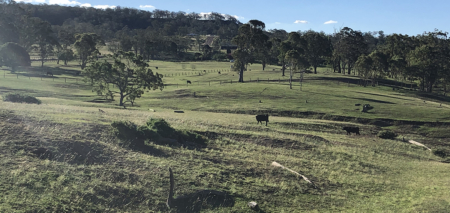 En plein air painting weekend | Toowoomba Region 17-18 August 2024 - Image 6