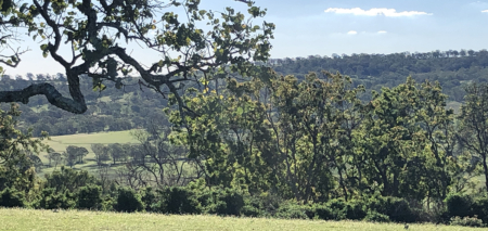 En plein air painting weekend | Toowoomba Region 17-18 August 2024 - Image 5