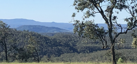 En plein air painting weekend | Toowoomba Region 17-18 August 2024 - Image 4
