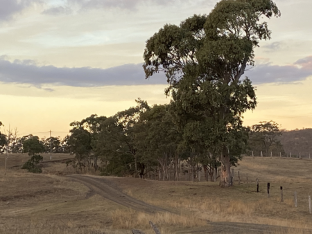 En plein air painting weekend | Toowoomba Region 17-18 August 2024 - Image 14