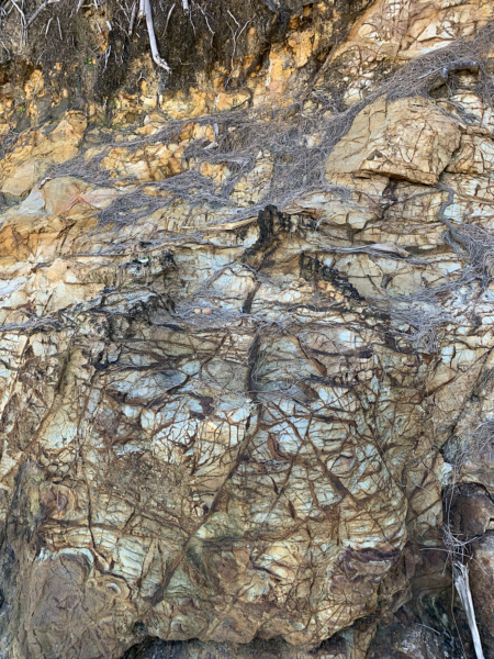 En plein air painting weekend | Coolum 19 - 20 October 2024 - Image 6