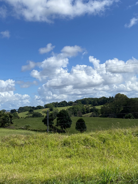 En plein air painting weekend | Northern Rivers 8-9 February 2025 - Image 2