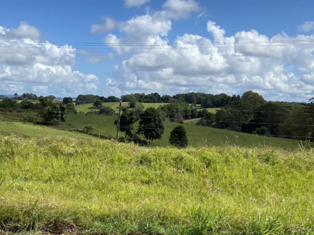 En plein air painting weekend | Northern Rivers 8-9 February 2025 - Image 3