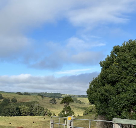 En plein air painting weekend | Northern Rivers 8-9 February 2025 - Image 4