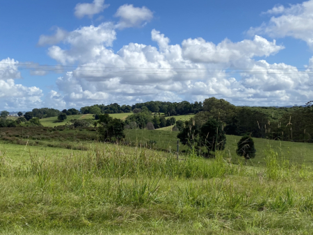 En plein air painting weekend | Northern Rivers 8-9 February 2025 - Image 5