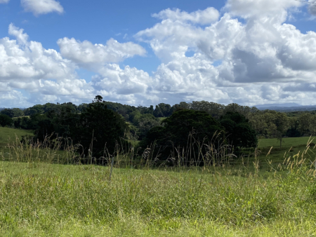 En plein air painting weekend | Northern Rivers 8-9 February 2025 - Image 6
