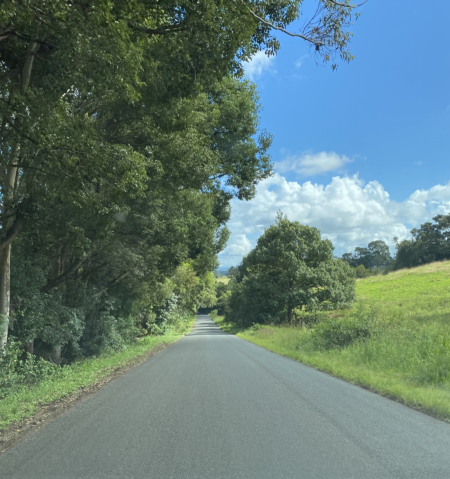 En plein air painting weekend | Northern Rivers 8-9 February 2025 - Image 8