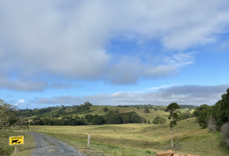 En plein air painting weekend | Northern Rivers 8-9 February 2025 - Image 9