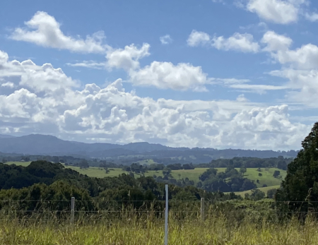 En plein air painting weekend | Northern Rivers 8-9 February 2025 - Image 10