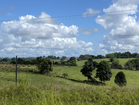 En plein air painting weekend | Northern Rivers 8-9 February 2025 - Image 12
