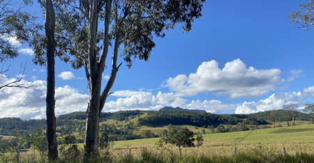 En plein air painting weekend | Northern Rivers 8-9 February 2025 - Image 13