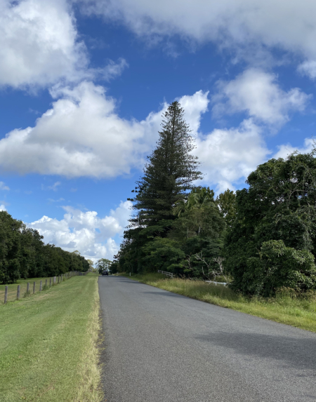 En plein air painting weekend | Northern Rivers 8-9 February 2025 - Image 15