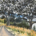 Liminal