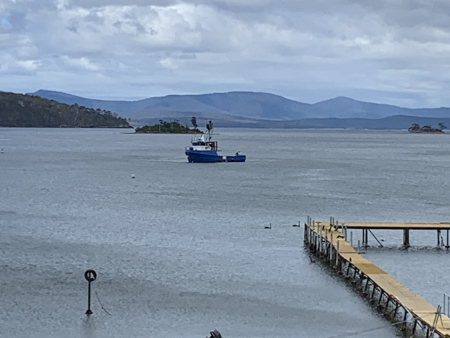 En plein air painting weekend | Huon Valley, Tas - 11 - 12 October 2025 - Image 10