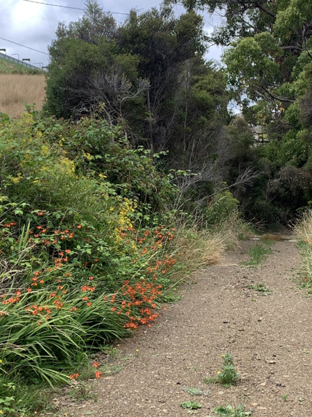 En plein air painting weekend | Huon Valley, Tas - 11 - 12 October 2025 - Image 11