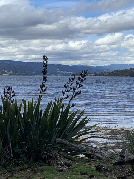 En plein air painting weekend | Huon Valley, Tas - 11 - 12 October 2025 - Image 3