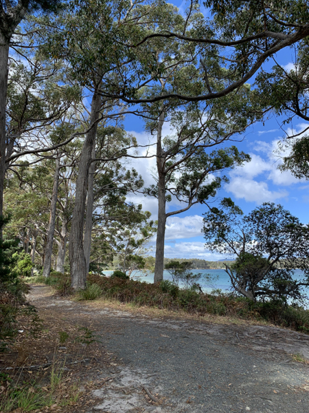En plein air painting weekend | Huon Valley, Tas - 11 - 12 October 2025 - Image 5