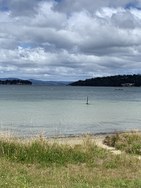 En plein air painting weekend | Huon Valley, Tas - 11 - 12 October 2025 - Image 8