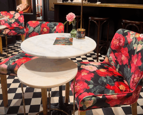 Camellia_almost black_bellavino 2