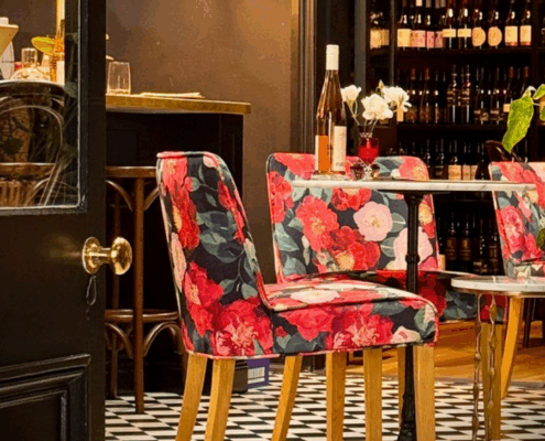 Camellia_almost black_bellavino