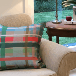 random plaid biscuit