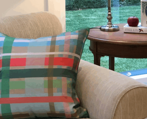 random plaid biscuit