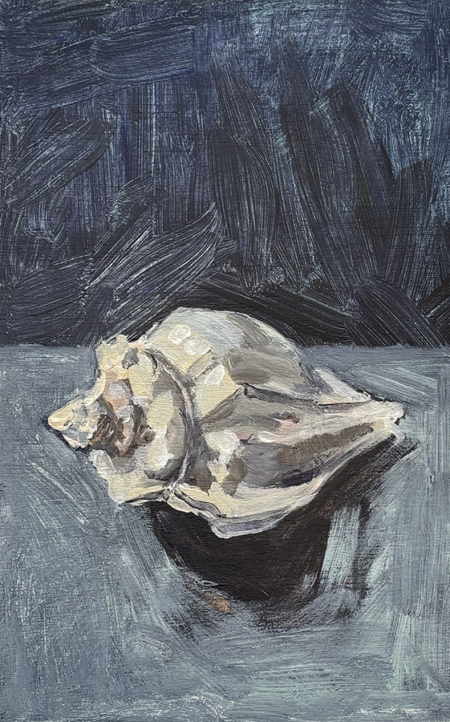 Shell Study 1