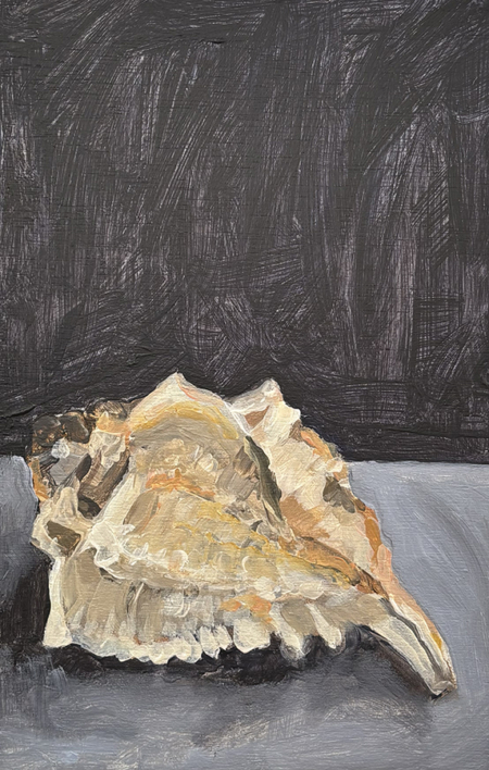 Shell Study 3
