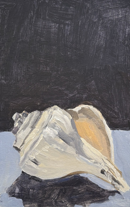 Shell Study 4